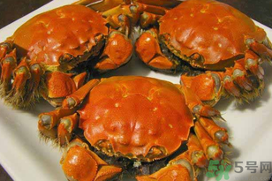 洪澤湖大閘蟹多少錢一斤？洪澤湖大閘蟹價(jià)格