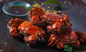 陽澄湖大閘蟹死了還能吃嗎？陽澄湖大閘蟹死了為什么不能吃？