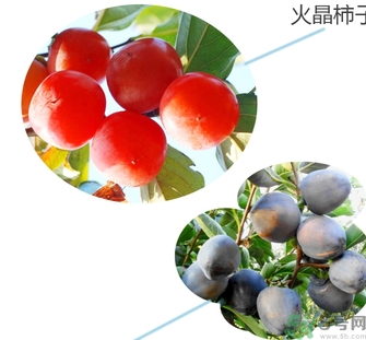 黑柿的營養(yǎng)價值及功效 黑柿怎么吃？
