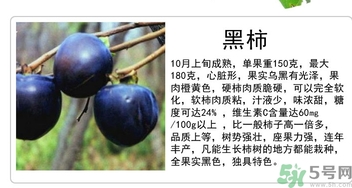 黑柿的營養(yǎng)價值及功效 黑柿怎么吃？
