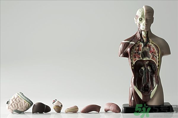 腸炎肚子疼怎么辦？腸炎肚子疼怎么緩解？