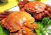 洪澤湖大閘蟹多少錢(qián)一斤？洪澤湖大閘蟹價(jià)格