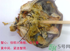 梭子蟹哪些部位不能吃？梭子蟹哪些人不能吃？