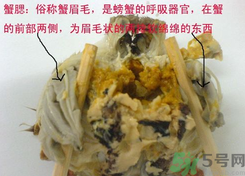 梭子蟹哪些部位不能吃？梭子蟹哪些人不能吃？
