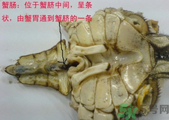 梭子蟹哪些部位不能吃？梭子蟹哪些人不能吃？