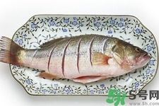 秋季適合吃什么魚(yú)？秋季吃魚(yú)的好處？
