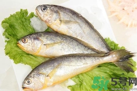 秋季適合吃什么魚？秋季吃魚的好處？
