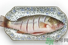 如何挑選新鮮魚(yú)？怎樣吃到不被污染的魚(yú)？