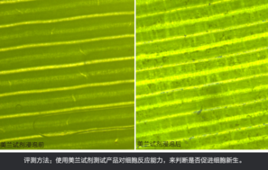 sk2大眼眼霜怎么樣？sk2大眼眼霜好用嗎？