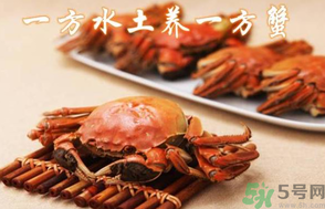 盤(pán)錦河蟹和陽(yáng)澄湖大閘蟹的區(qū)別？盤(pán)錦河蟹和陽(yáng)澄湖大閘蟹哪個(gè)比較好吃？