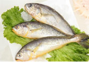 如何挑選新鮮魚(yú)？怎樣吃到不被污染的魚(yú)？