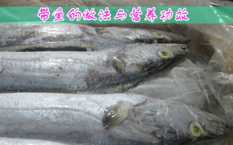 帶魚(yú)
