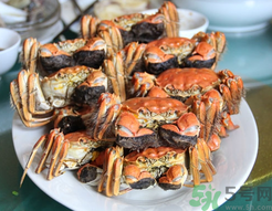 陽(yáng)澄湖大閘蟹和普通大閘蟹的區(qū)別？陽(yáng)澄湖大閘蟹比普通大閘蟹好在哪里？