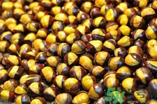 吃栗子會(huì)上火嗎？吃栗子會(huì)便秘嗎？