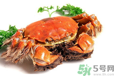 陽澄湖大閘蟹是河蟹嗎？陽澄湖大閘蟹和河蟹的區(qū)別
