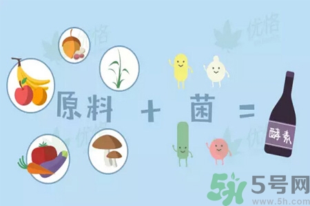酵素是什么？吃酵素減肥有效果嗎？