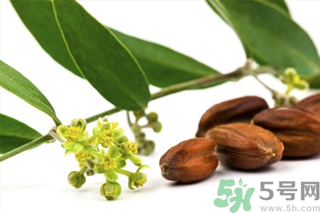 荷荷巴油可以直接擦臉嗎？荷荷巴油怎么去黑頭？