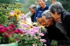 重陽節(jié)是陰歷還是陽歷？重陽節(jié)是什么意思？
