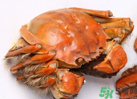 河蟹死了一天能吃嗎？河蟹死了多久不能吃？