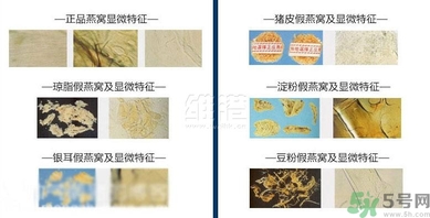 去香港買(mǎi)燕窩哪里好？香港哪里買(mǎi)燕窩比較好正宗？