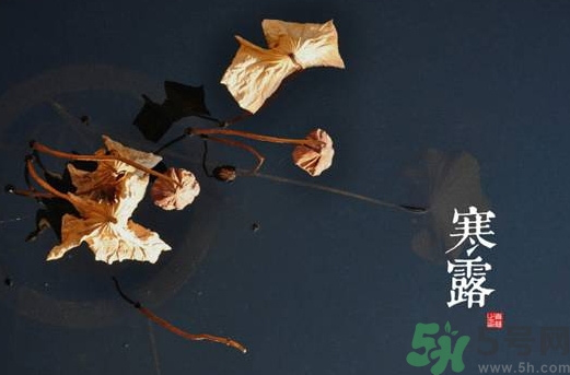 寒露是什么意思？寒露是幾月幾日