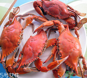 梭子蟹和飛蟹的區(qū)別？飛蟹是梭子蟹嗎？