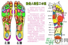 孕婦能用艾葉泡腳嗎？艾葉泡腳的功效與作用