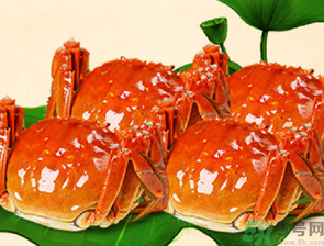 梭子蟹和大閘蟹的區(qū)別？梭子蟹和大閘蟹哪個(gè)好？