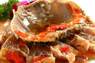 膏蟹是河蟹還是海蟹？膏蟹是什么蟹？