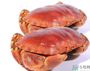面包蟹多少錢一斤？面包蟹多少錢一只？