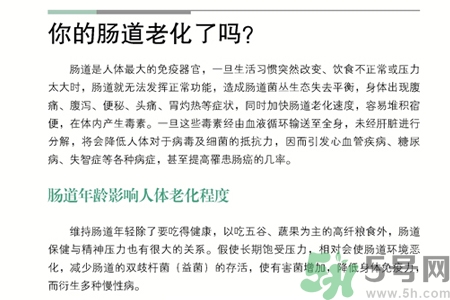 引起腸道老化的原因是什么？四種人腸道老化快