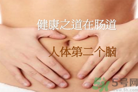 引起腸道老化的原因是什么？四種人腸道老化快