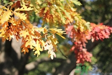 秋燥皮膚癢吃什么好？秋燥4妙招保護(hù)皮膚