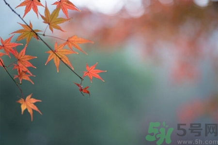秋燥皮膚癢吃什么好？秋燥4妙招保護(hù)皮膚
