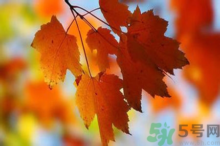 秋燥皮膚癢吃什么好？秋燥4妙招保護(hù)皮膚