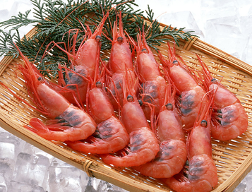 海蝦煮多長(zhǎng)時(shí)間熟？海蝦怎么煮？