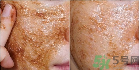 skin food思親膚適合什么年齡？思親膚適合多大年齡？