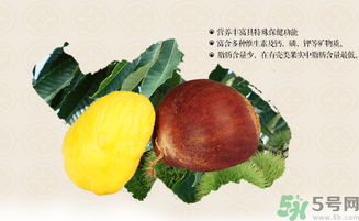 板栗和什么一起泡酒好？板栗泡酒的功效與作用有哪些？