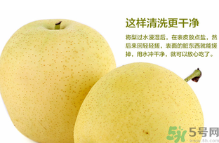皇冠梨是雪梨嗎？皇冠梨和雪梨的區(qū)別