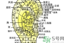 每天揉耳朵有什么好處？?揉耳朵的正確方法是什么？