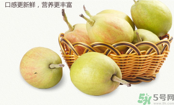 孕婦能吃香梨嗎？香梨孕婦可以吃嗎？