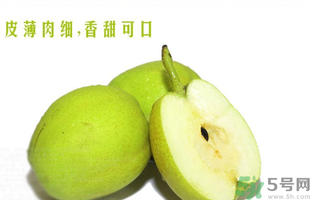 孕婦能吃香梨嗎？香梨孕婦可以吃嗎？
