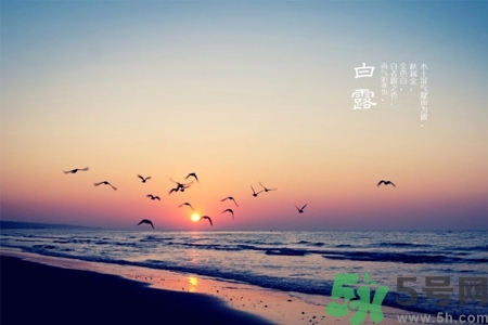 白露節(jié)吃什么？白露節(jié)的傳統(tǒng)美食有哪些？