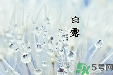 白露節(jié)吃什么？白露節(jié)的傳統(tǒng)美食有哪些？