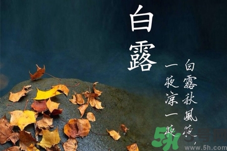 白露節(jié)吃什么？白露節(jié)的傳統(tǒng)美食有哪些？