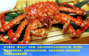 阿拉斯加帝王蟹好吃嗎？阿拉斯加帝王蟹吃法