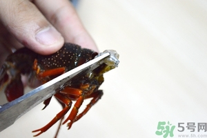 活蝦怎么處理干凈蝦線？活蝦怎么去蝦線？