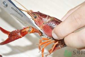 活蝦怎么處理干凈蝦線？活蝦怎么去蝦線？