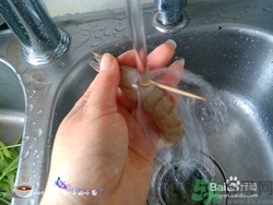 活蝦怎么處理干凈蝦線？活蝦怎么去蝦線？