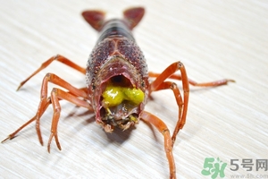 活蝦怎么處理干凈蝦線？活蝦怎么去蝦線？